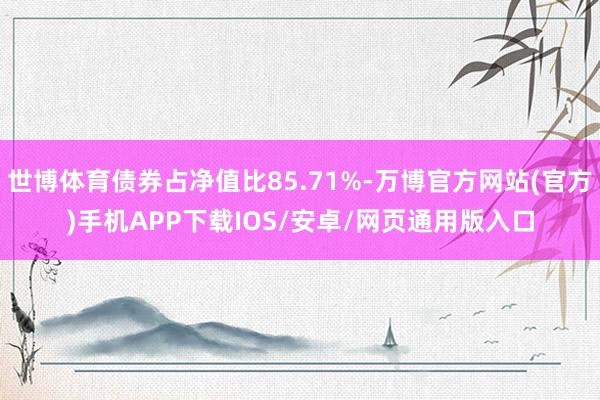 世博体育债券占净值比85.71%-万博官方网站(官方)手机APP下载IOS/安卓/网页通用版入口