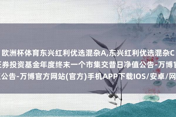 欧洲杯体育东兴红利优选混杂A,东兴红利优选混杂C: 东兴红利优选混杂型证券投资基金年度终末一个市集交昔日净值公告-万博官方网站(官方)手机APP下载IOS/安卓/网页通用版入口