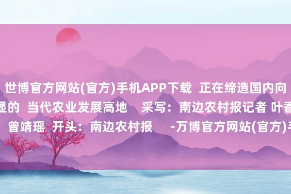 世博官方网站(官方)手机APP下载  正在缔造国内向上、外洋一流、特点光显的  当代农业发展高地    采写：南边农村报记者 叶香玲  通信员：曾靖瑶  开头：南边农村报     -万博官方网站(官方)手机APP下载IOS/安卓/网页通用版入口